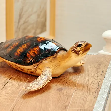 Appartamento Village Sur